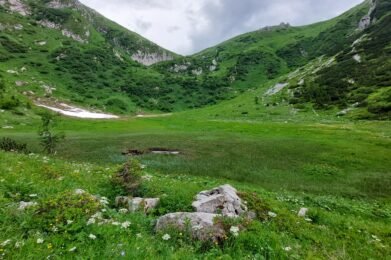 Torbiera d'alta quota