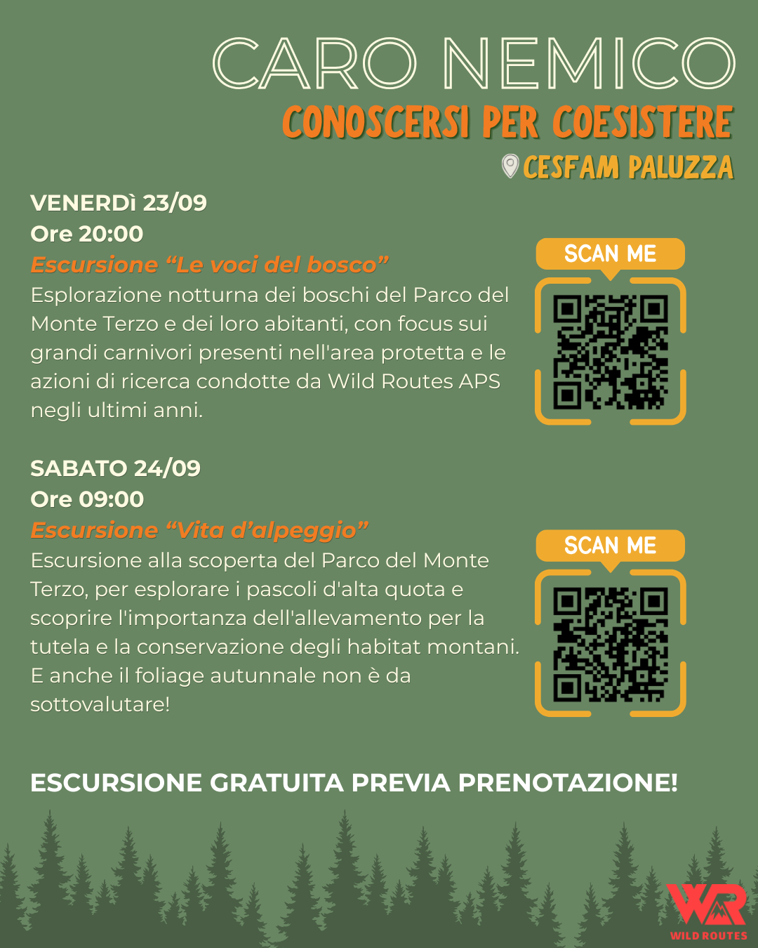 CARO NEMICO DETAILS (2)